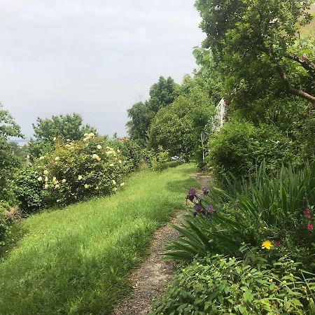 Appartement Avec Vue Panoramique Sur L'Estuaire De La Gironde Plassac  Buitenkant foto