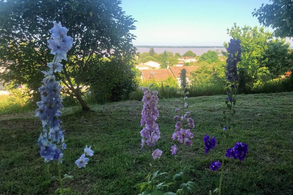 Appartement Avec Vue Panoramique Sur L'Estuaire De La Gironde Plassac  Buitenkant foto