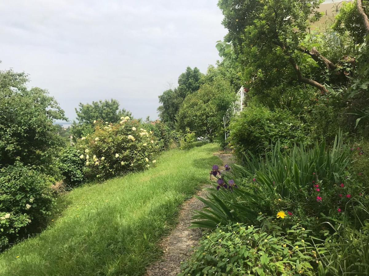 Appartement Avec Vue Panoramique Sur L'Estuaire De La Gironde Plassac  Buitenkant foto
