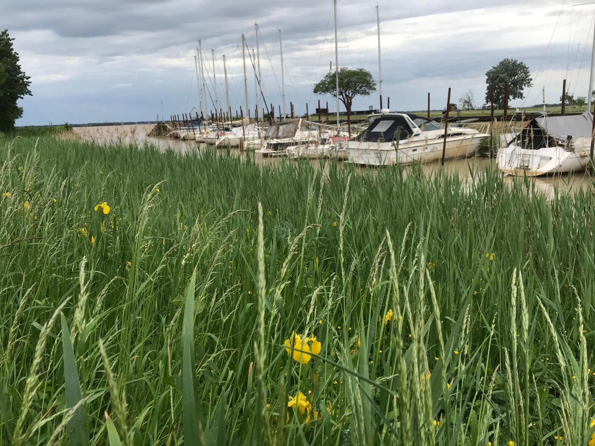 Appartement Avec Vue Panoramique Sur L'Estuaire De La Gironde Plassac  Buitenkant foto